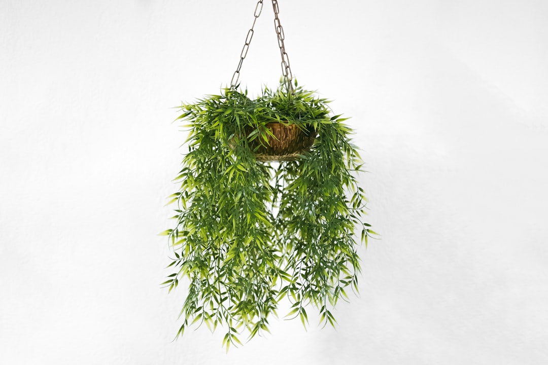 A small fake plastic plant that portrays part of my grandmother’s house through objects.